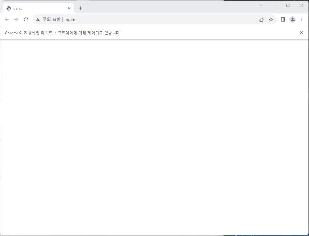 chromedriver 실행